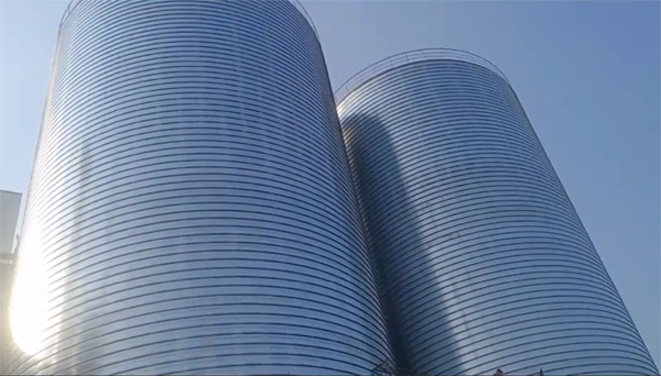 崇义2座混凝土高架卷板仓